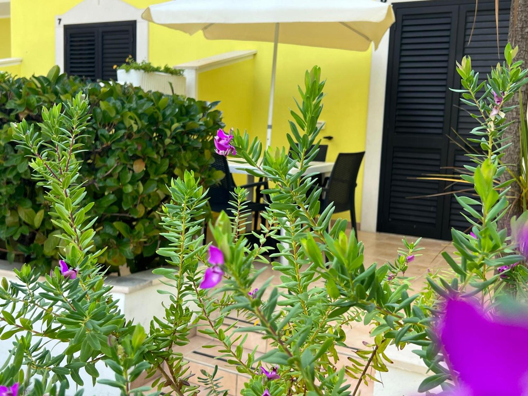 Argeste Club Vacanze Vieste Exterior photo