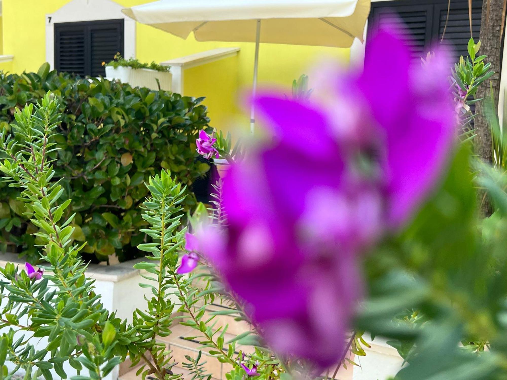 Argeste Club Vacanze Vieste Exterior photo